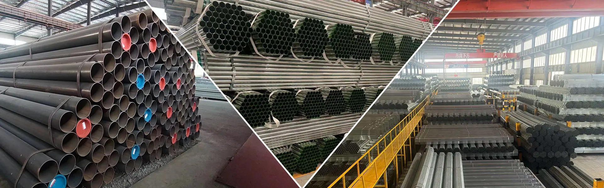 Các sản phẩm